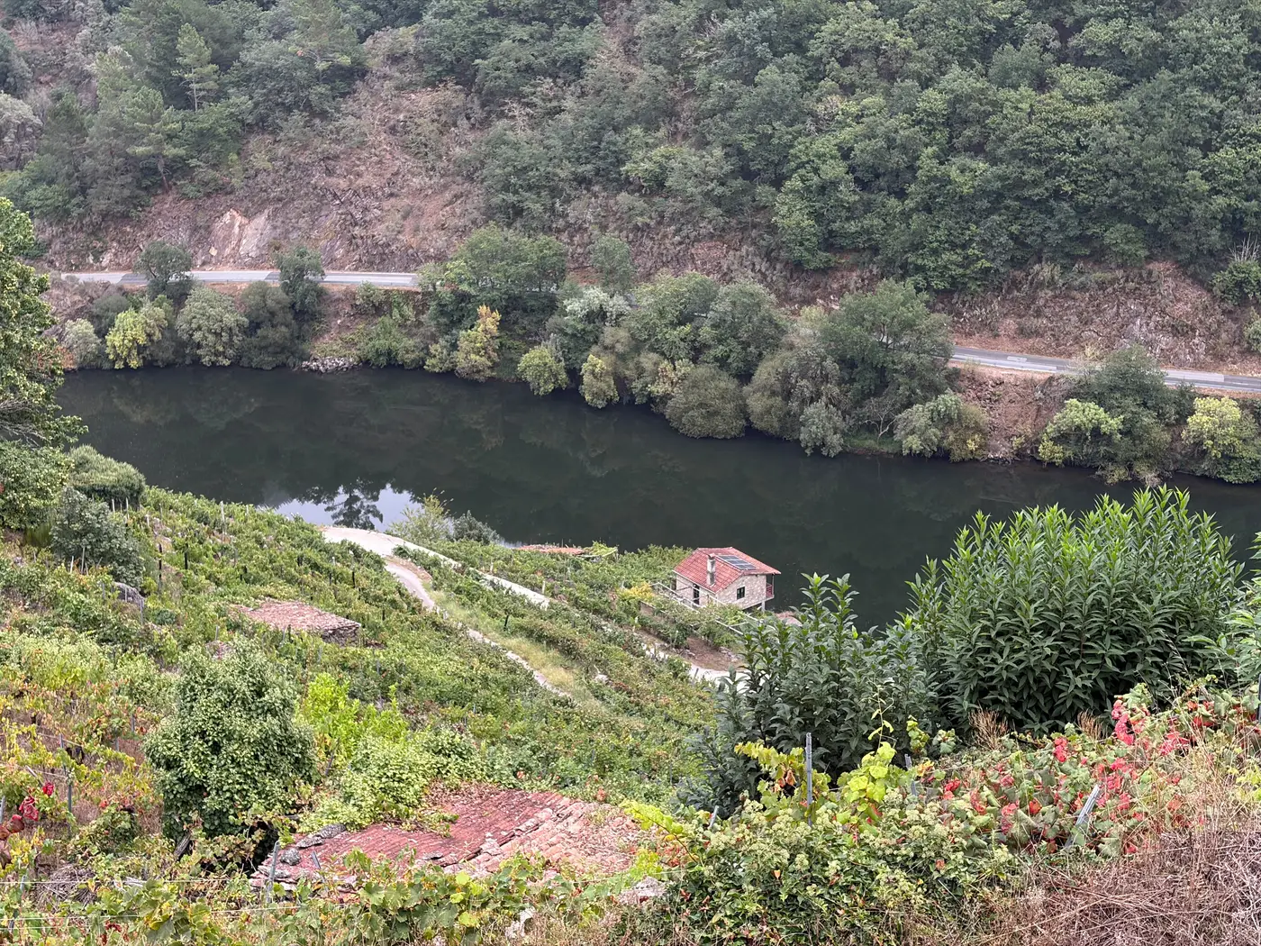 Bancales de viñedo que descienden hasta el río, con una pequeña casa de piedra en la orilla
